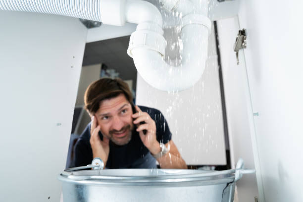 Best Toilet Repair Services  in Ames Lake, WA